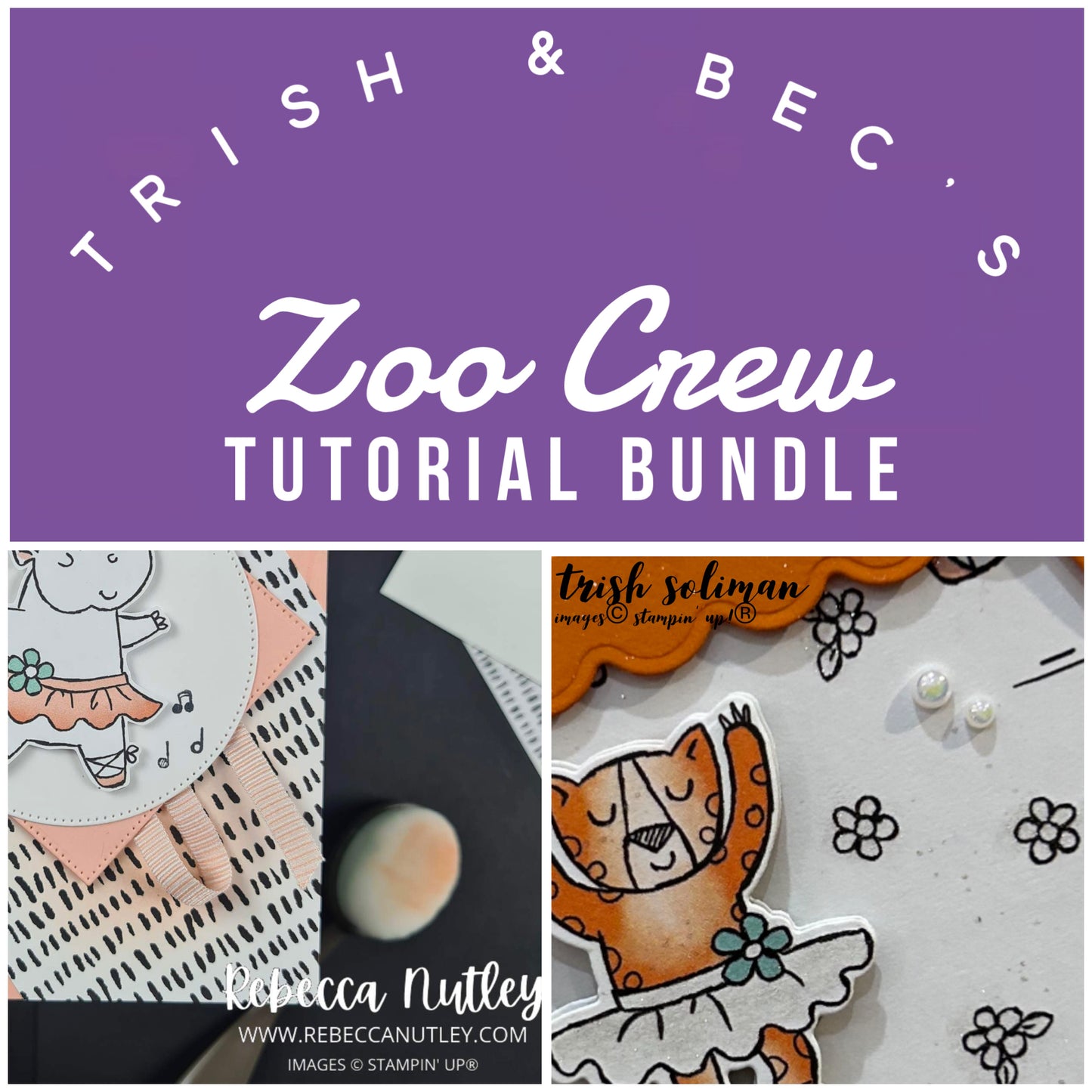 Craft This Way - Zoo Crew - Beginners' PDF Tutorial Bundle