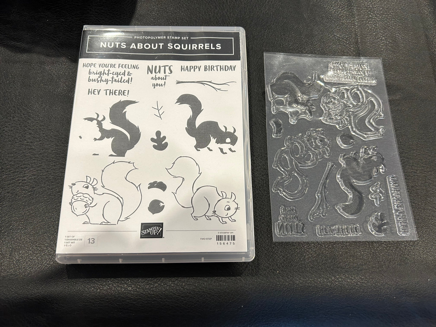 Stampin' Up! Stamp - Nuts About Squirrels - Lightly Used