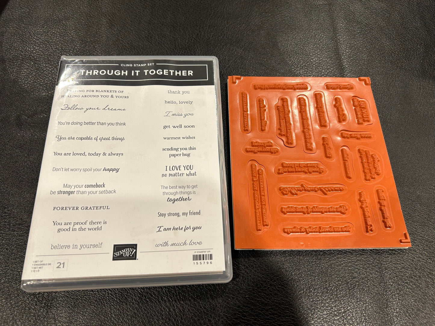Stampin' Up! Stamp - Through It Together - New